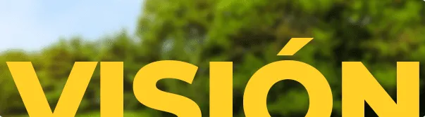 Visión de L Group - Red de colaboradores inmobiliarios en cada ciudad de Chile